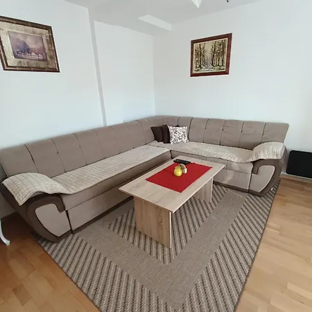 公寓 Stan Jovana 帕莱