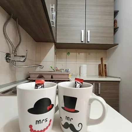 Stan Jovana Apartment Pale